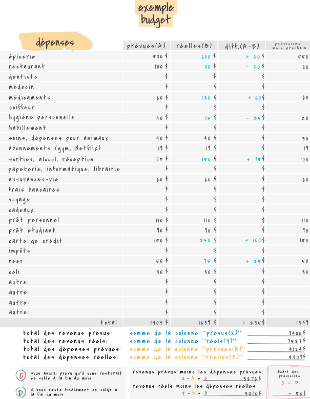 Planificateur de budget mensuel – Suivi budgétaire visuel (inclus : format Excel automatisé + version PDF imprimable)